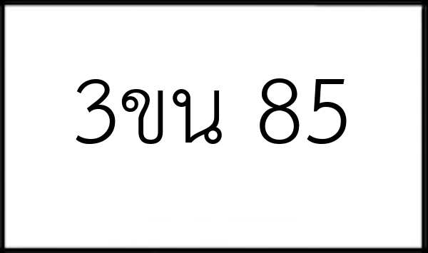 3ขน 85